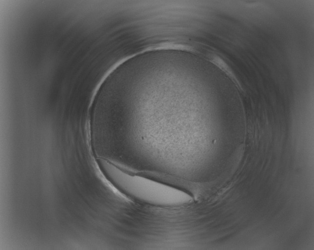 X0000067531092200604211837