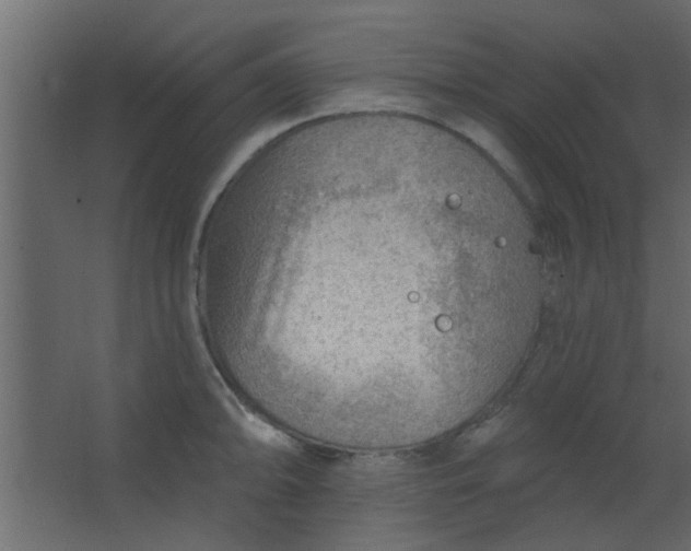 X0000067531094200604211837