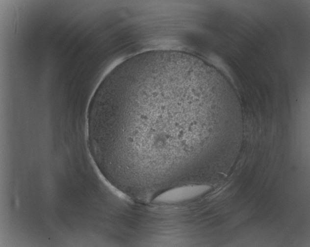 X0000067531095200604211837