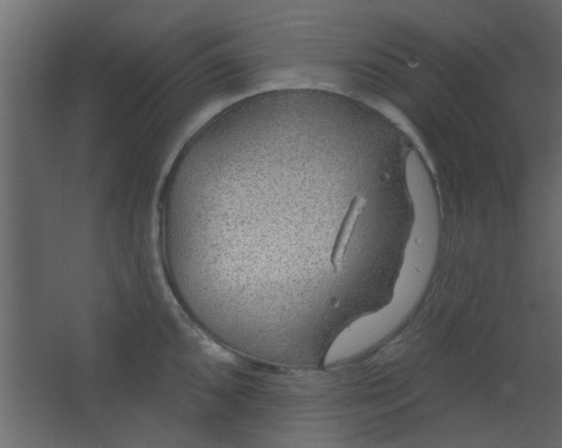 X0000067531096200604211837