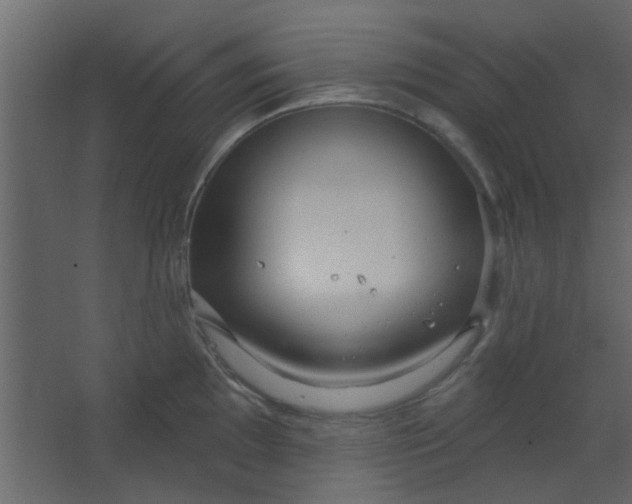 X0000067531097200604211837