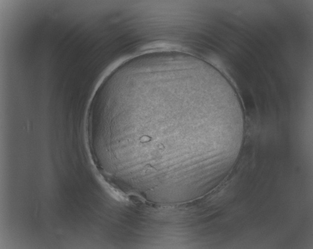 X0000067531098200604211837