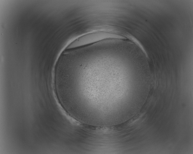 X0000067531099200604211837