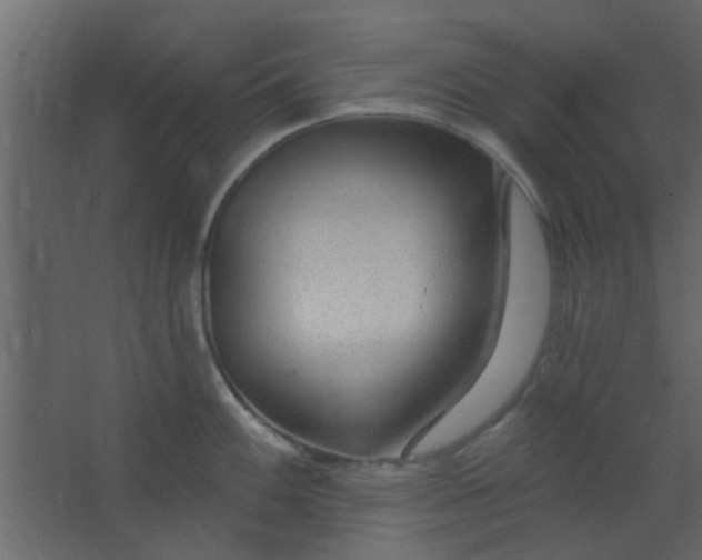 X0000067531100200604211837