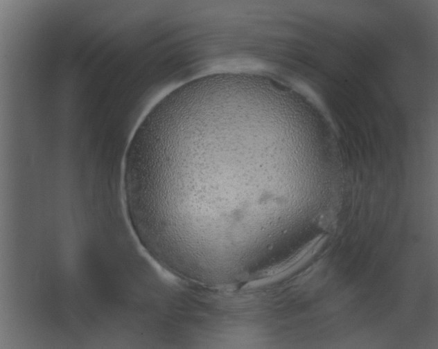 X0000067531103200604211837