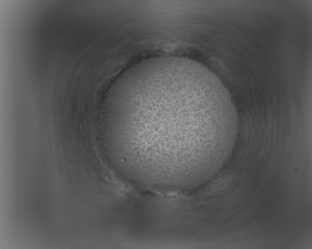 X0000067531105200604211836