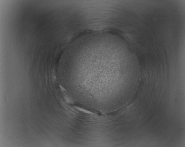 X0000067531106200604211836