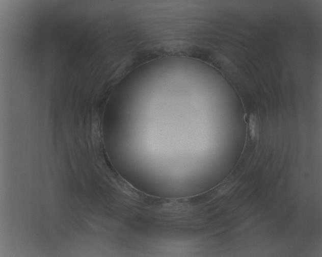 X0000067531107200604211836