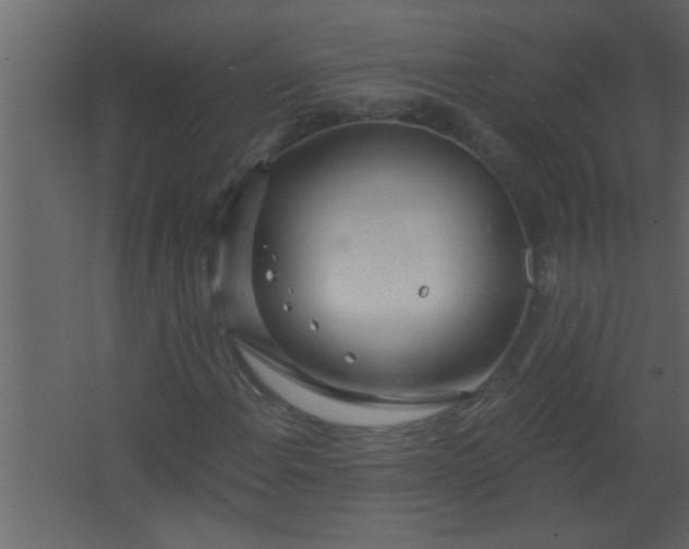 X0000067531108200604211836