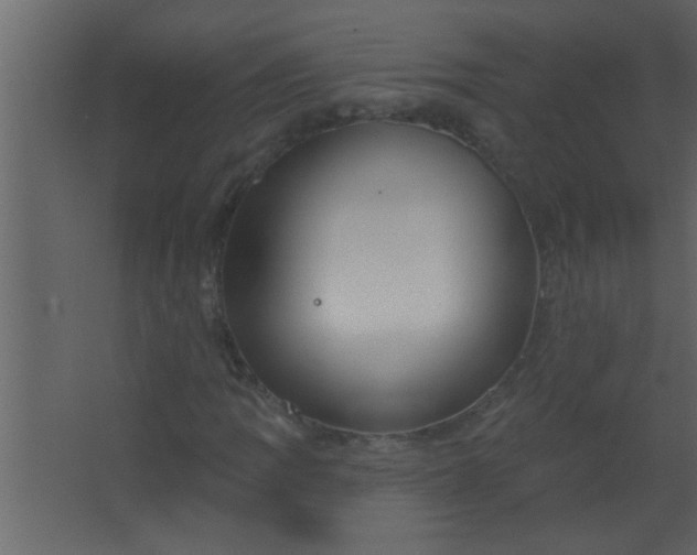 X0000067531109200604211836