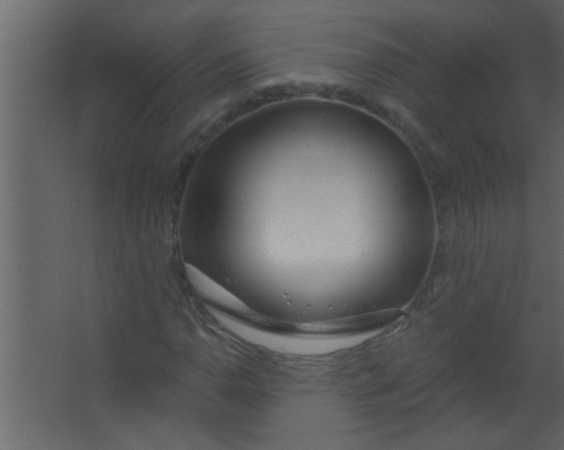 X0000067531110200604211836