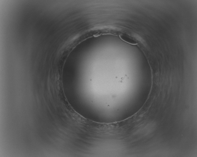 X0000067531111200604211836