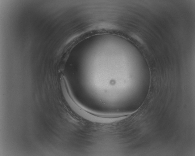 X0000067531112200604211836