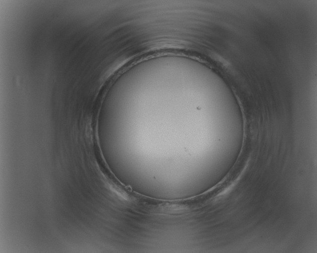 X0000067531113200604211836