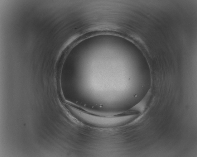 X0000067531114200604211836