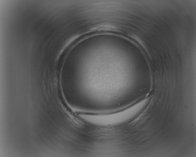 X0000067531115200604211836