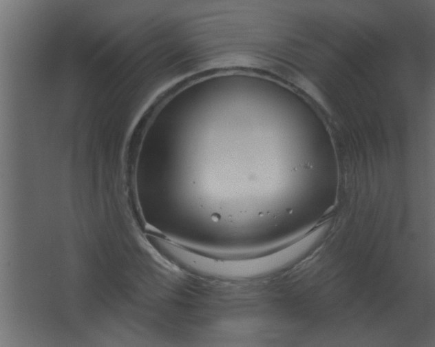 X0000067531116200604211836