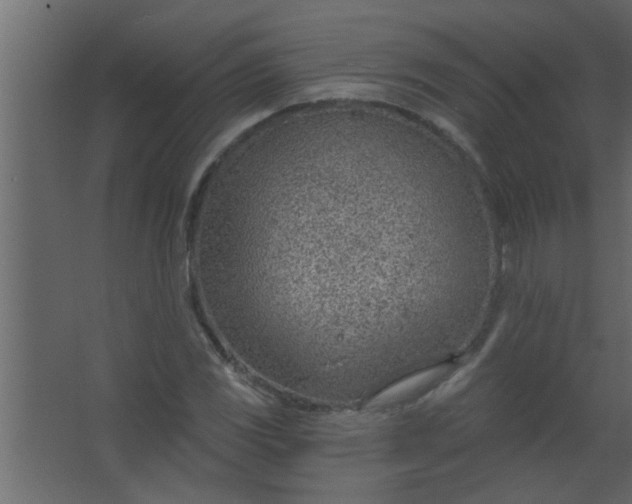 X0000067531117200604211836