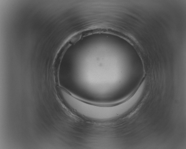 X0000067531118200604211836