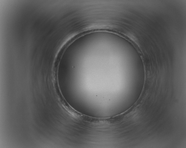 X0000067531119200604211836