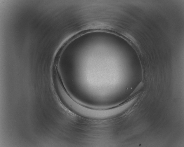 X0000067531120200604211836