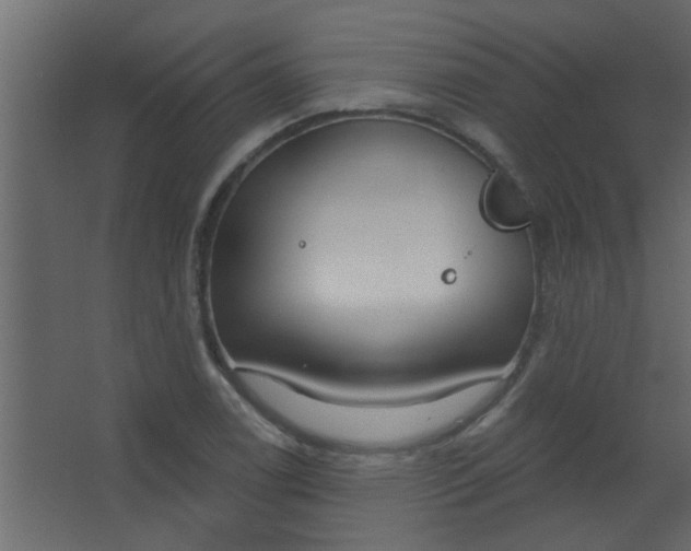 X0000067531122200604211836