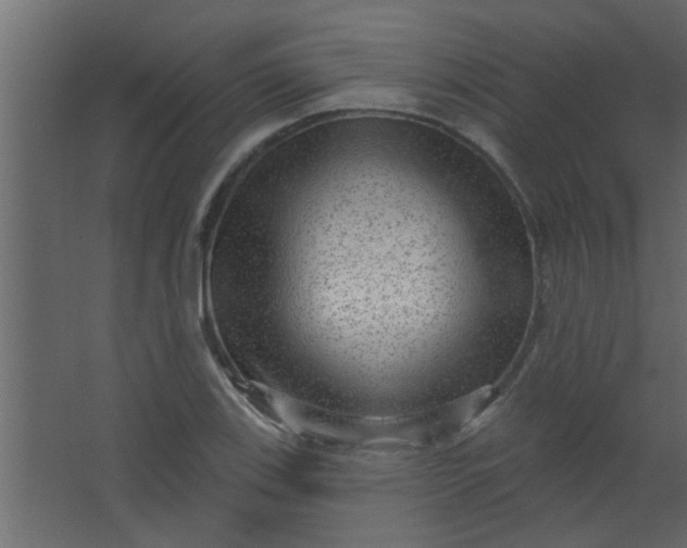 X0000067531123200604211836