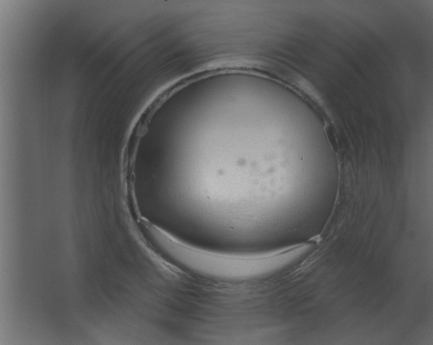 X0000067531124200604211836