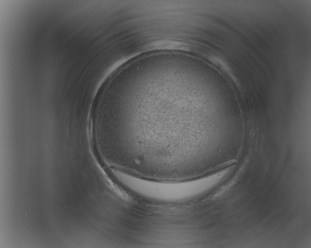 X0000067531125200604211836