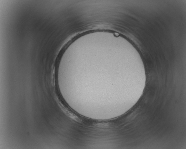 X0000067531126200604211836