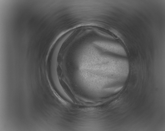 X0000067531127200604211836