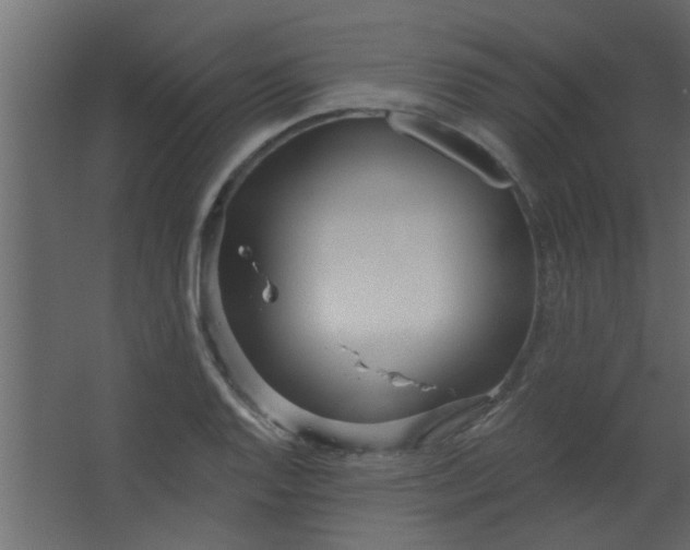 X0000067531128200604211836