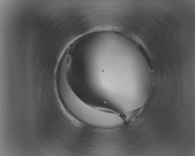 X0000067531132200604211837