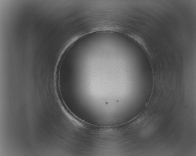 X0000067531135200604211837