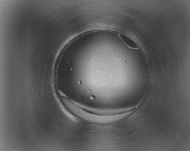 X0000067531136200604211837