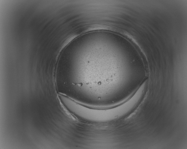 X0000067531137200604211837