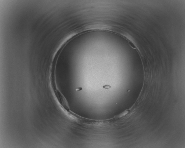 X0000067531139200604211837