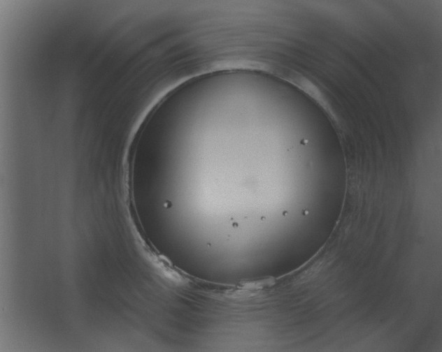 X0000067531140200604211837