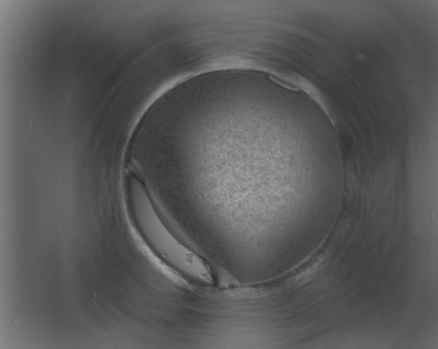 X0000067531142200604211837