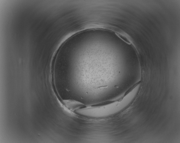 X0000067531143200604211837