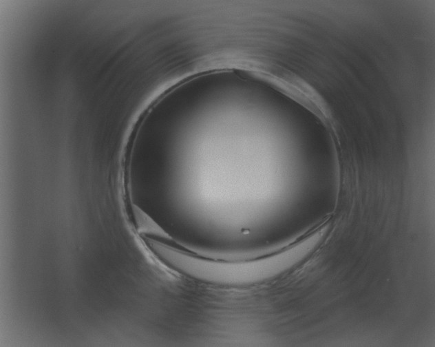 X0000067531144200604211837