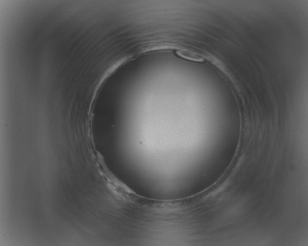 X0000067531145200604211837