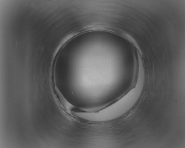 X0000067531146200604211837