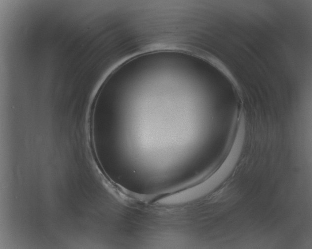 X0000067531148200604211837