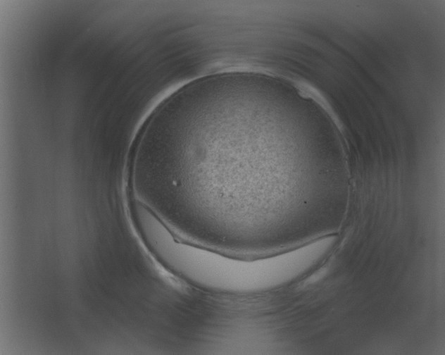 X0000067531149200604211837