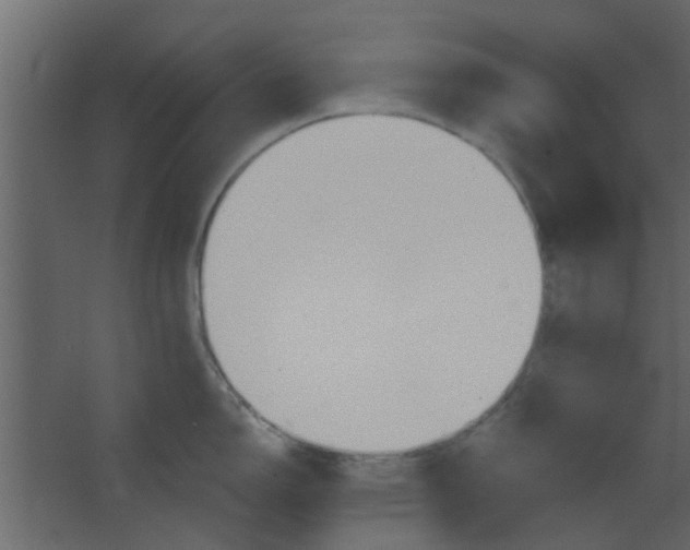 X0000067531150200604211837