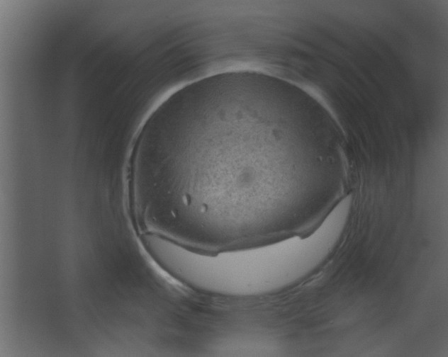 X0000067531151200604211837