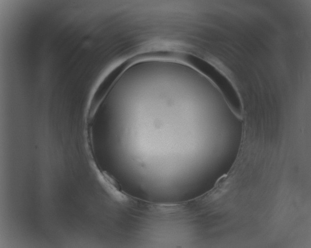 X0000067531152200604211837