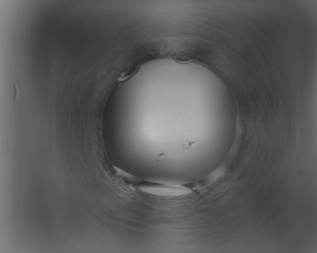 X0000067531153200604211836