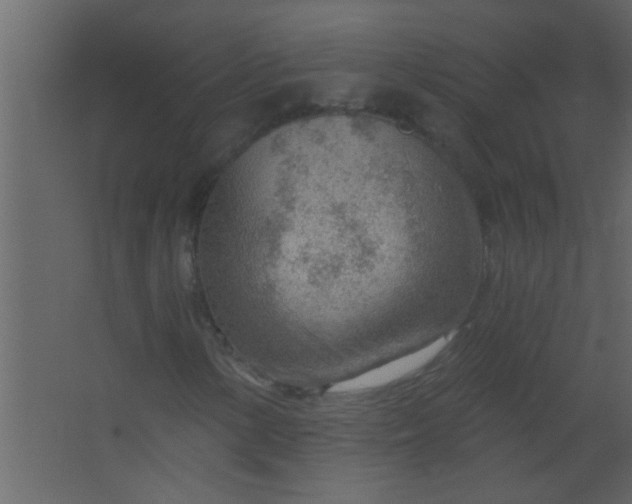 X0000067531154200604211836